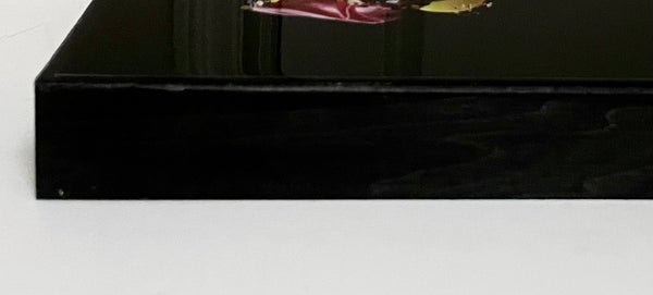 PRINCE - stage fright