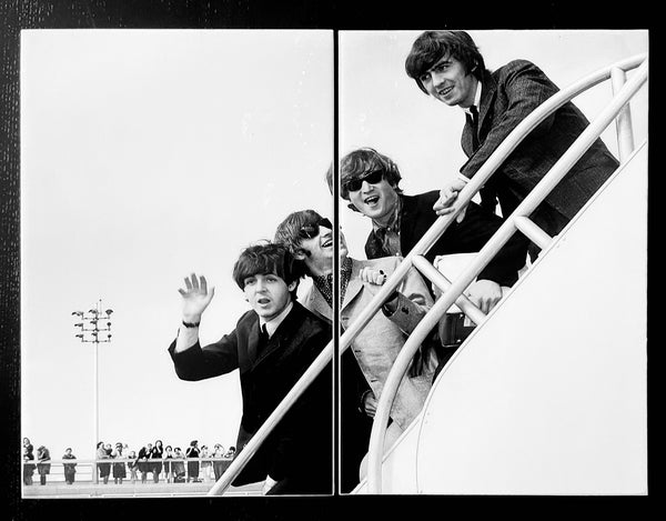 BEATLES - debarking