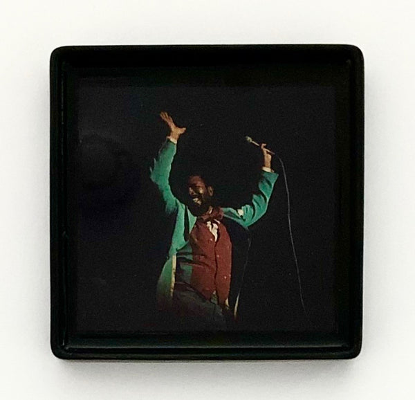 MARVIN GAYE - Marvin in concert