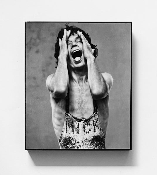 MICK JAGGER - emotional rescue