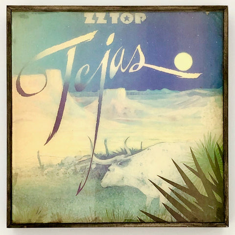 ZZ TOP - Tejas